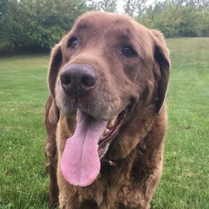 Meet your Posher, Brynn